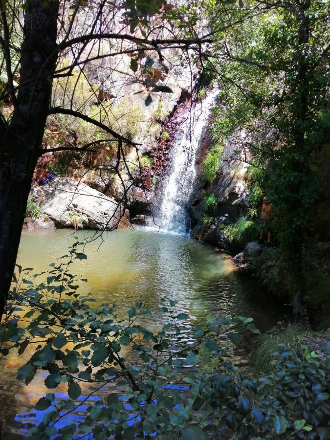 Moradia Albertina Sardoal Bagian luar foto